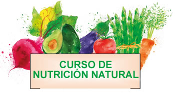 Logo Curso Nutricion a Distancia